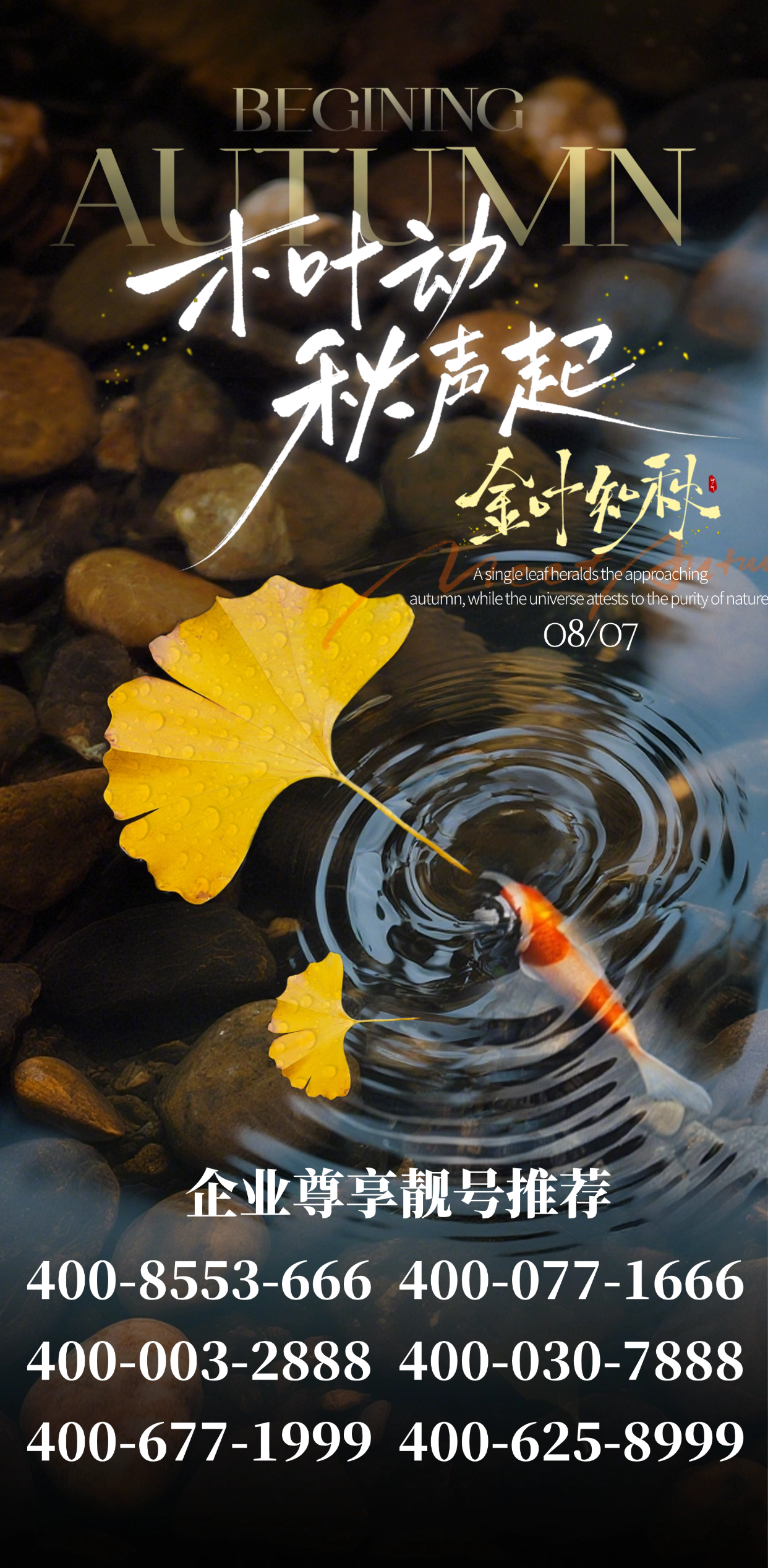 登烈通】2025/8/7今日号码热门推荐- 400电话号码办理＿400客服电话服务申请官网＿登烈通400业务中心（WWW.DL400.COM）